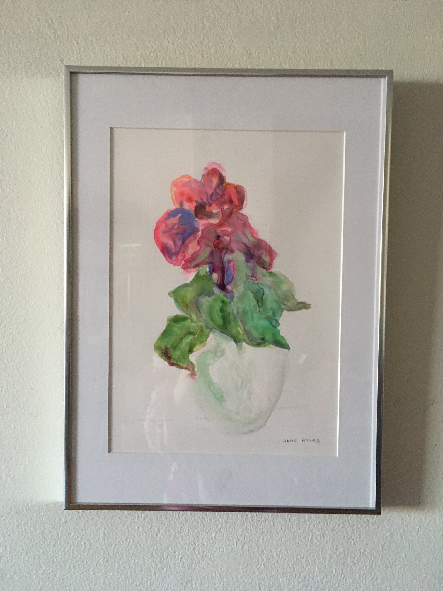 Red flower bursting through leaves and vase 